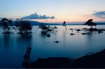 Magical Andamans with Neil Stay Winter Special 2017 Magical Andamans with Neil Stay Winter Special 2017